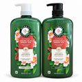 Herbal Essences Argan Oil & Green Tea Sulfate-Free Shampoo & Conditioner Set, 33.8 fl oz Each, Repair, Moisture & Strength, with Aloe & Camellia (2-Pack)